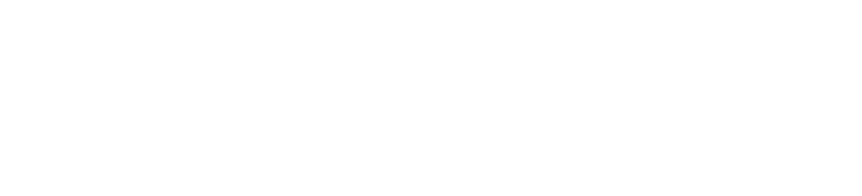 Wat je krijgt ...